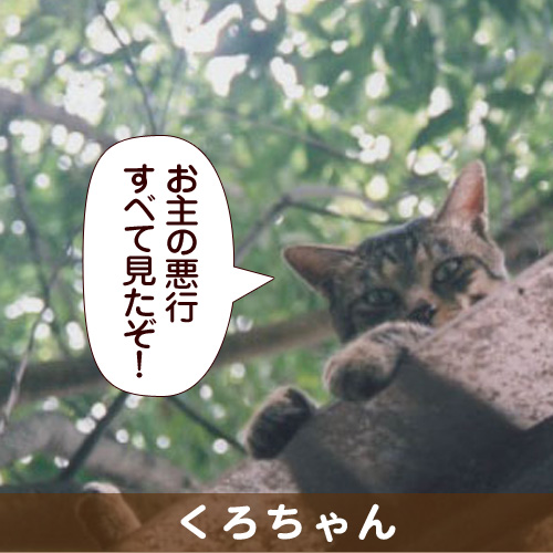 20140221_touko.jpg