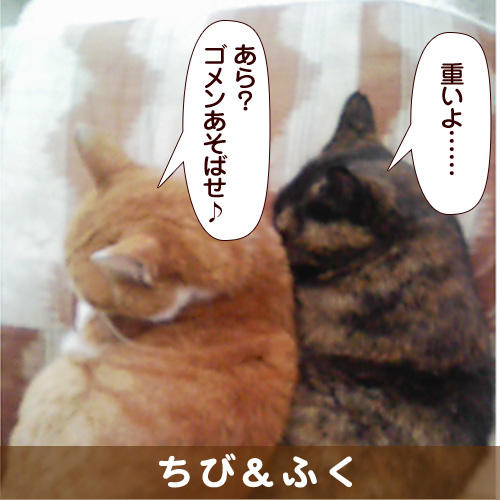 20140223_touko.jpg