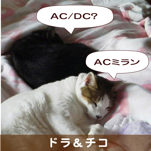 20140224_touko.jpg