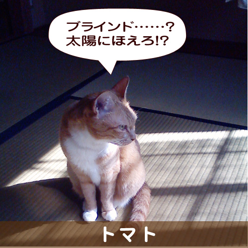 20140225_touko.jpg