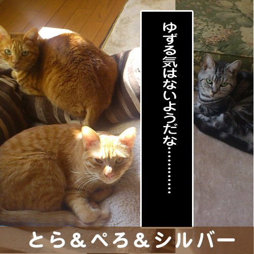 20140226_touko.jpg