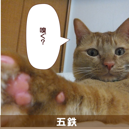 20140227_touko.jpg