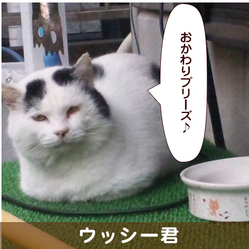 20140228_touko.jpg