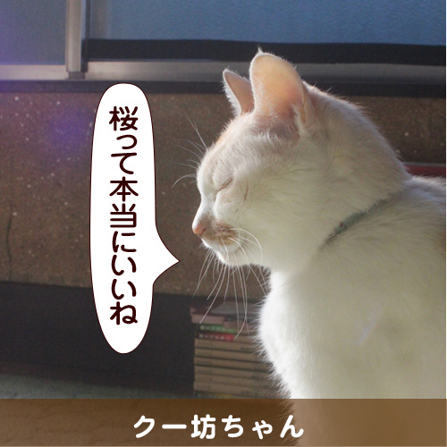 20140402_touko.jpg