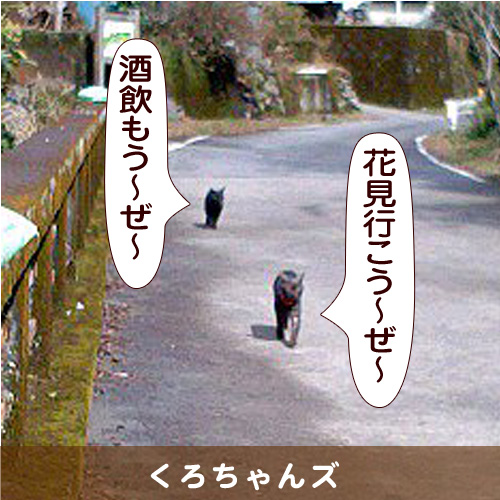 20140403_touko.jpg