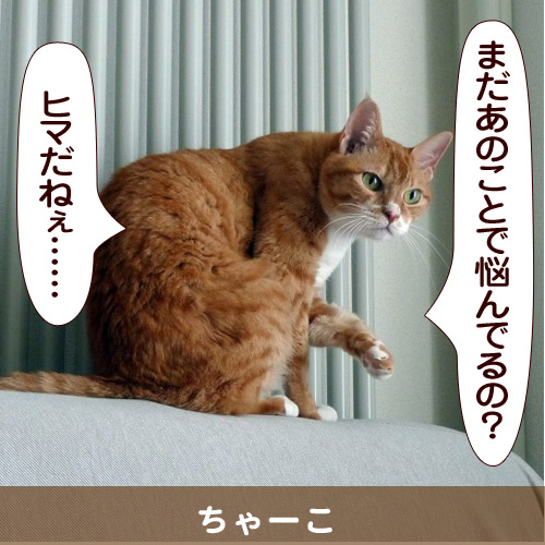 20140404_touko.jpg