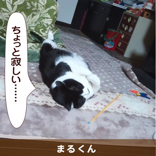 20140405_touko.jpg