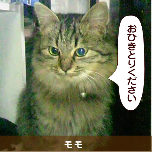 20140406_touko.jpg