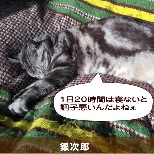 20140407_touko.jpg