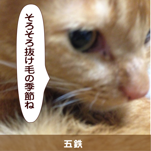 20140408_touko.jpg