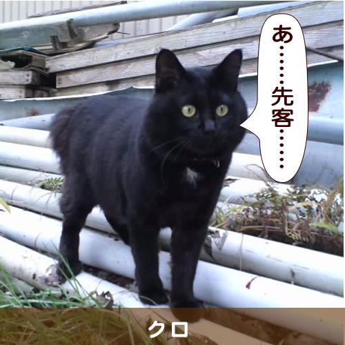 20140409_touko.jpg