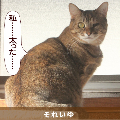 20140410_touko.jpg