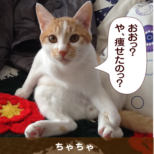 20140411_touko.jpg
