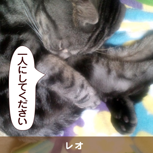 20140413_touko.jpg