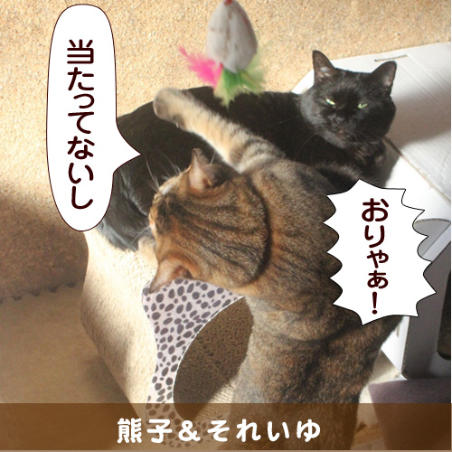 20140416_touko.jpg