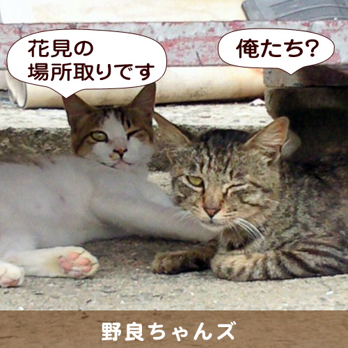20140417_touko.jpg