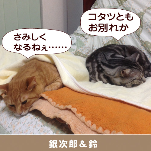 20140418_touko.jpg