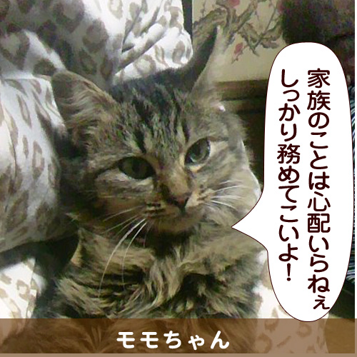 20140419_touko.jpg