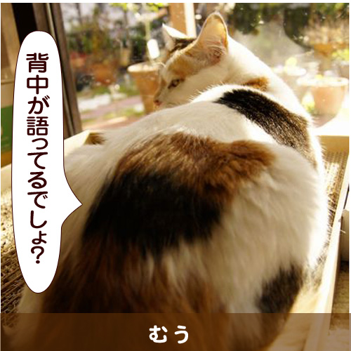 20140420_touko.jpg