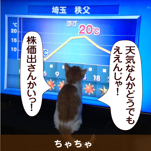 20140421_touko.jpg