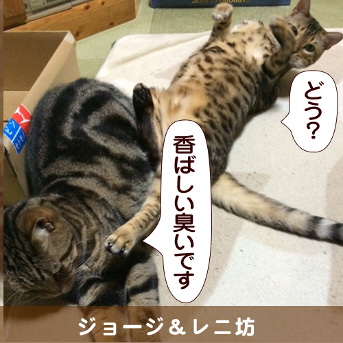 20140422_touko.jpg