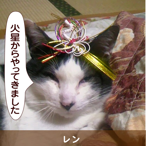 20140425_touko.jpg