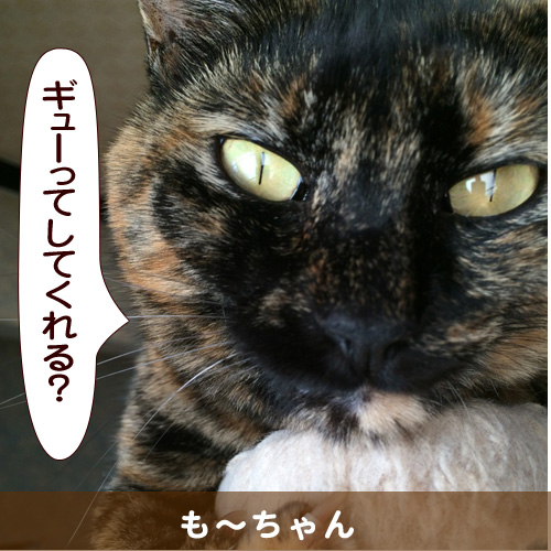20140426_touko.jpg