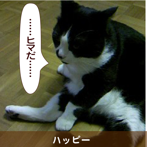 20140427_touko.jpg