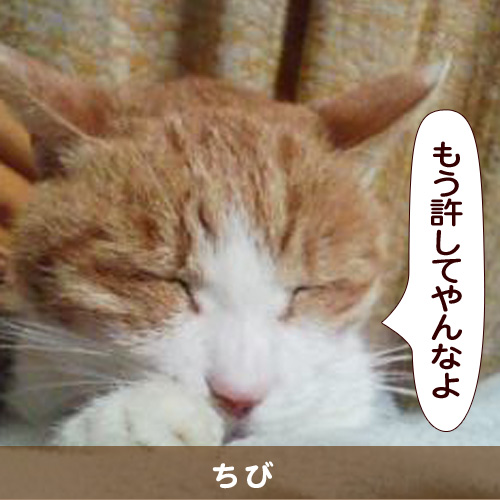 20140428_touko.jpg