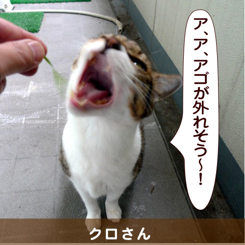 20140429_touko.jpg