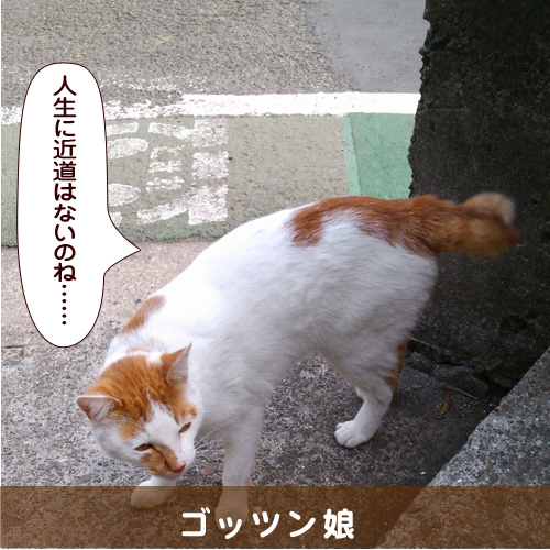20140625_touko.jpg