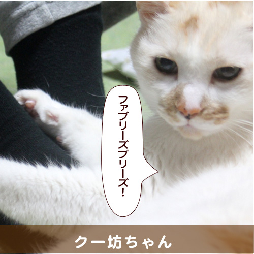 20140626_touko.jpg