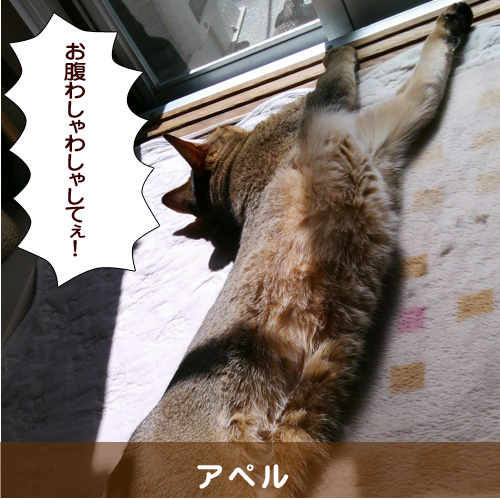 20140627_touko.jpg
