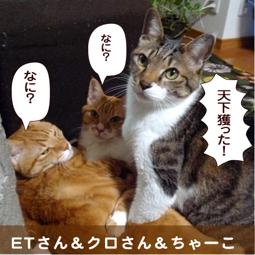 20140629_touko.jpg