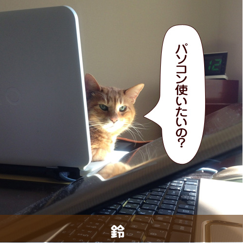 20140701.jpg