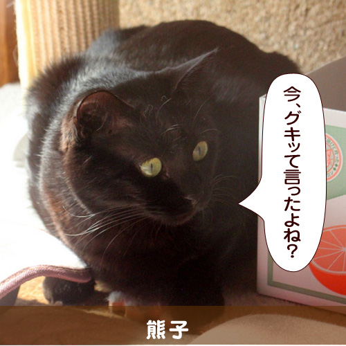 20140702.jpg