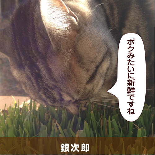 20140703.jpg