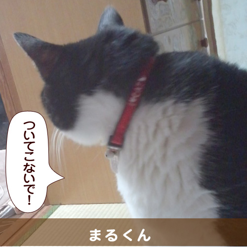 20140705.jpg