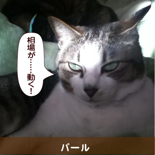 20140706.jpg