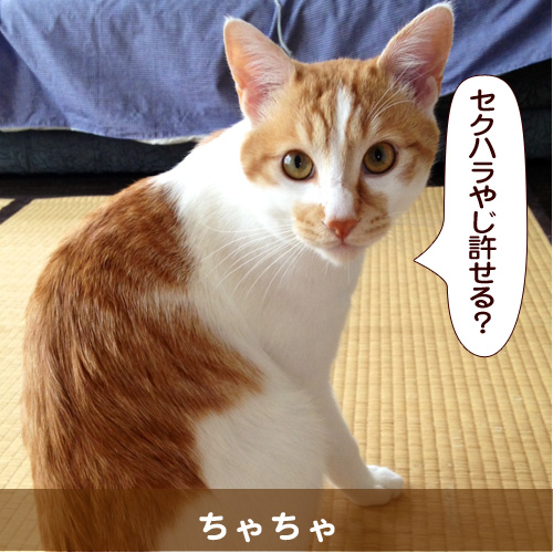 20140707.jpg