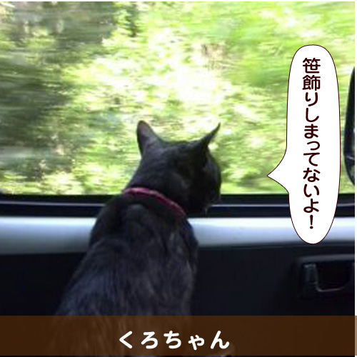20140708.jpg