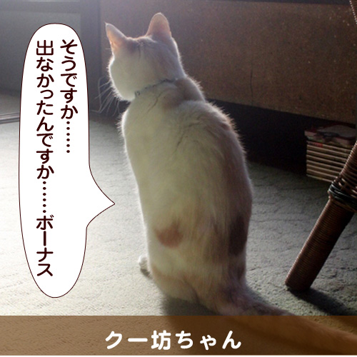 20140709_touko.jpg