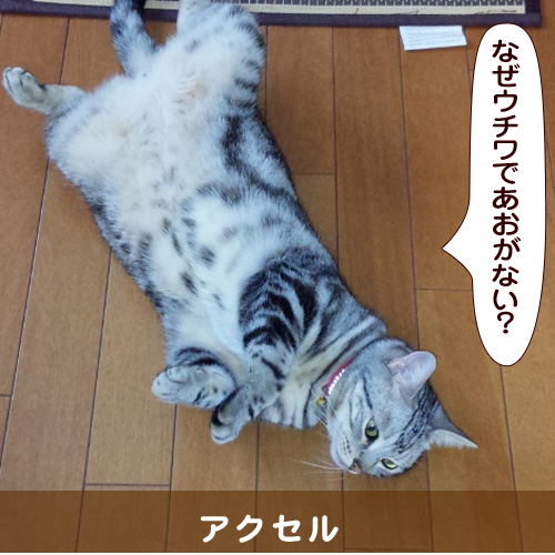 20140710_touko.jpg