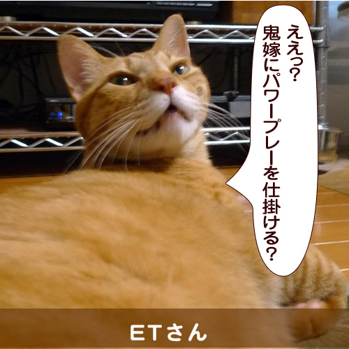 20140711_touko.jpg