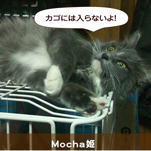 20140712_touko.jpg