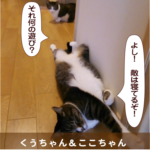 20140713_touko.jpg