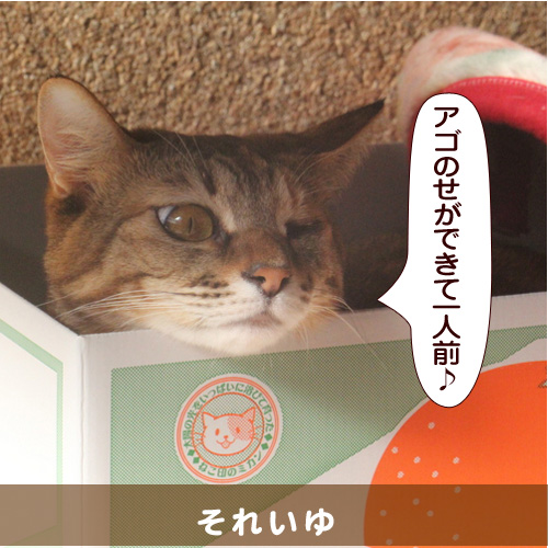 20140715_touko.jpg