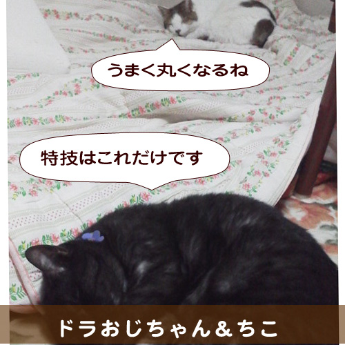 20140716_touko.jpg