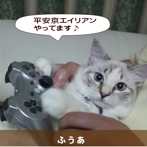 20140717_touko.jpg