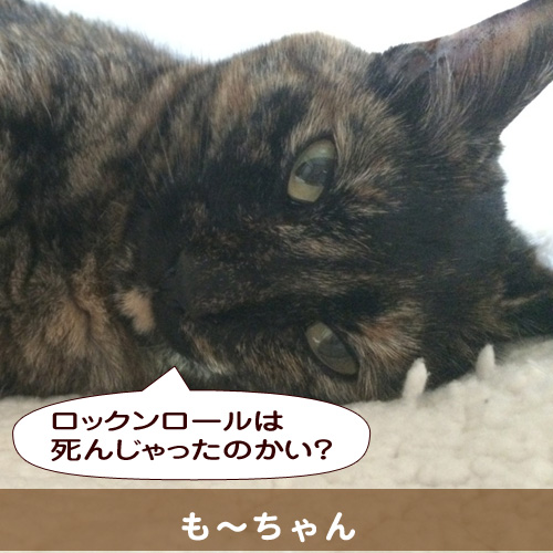 20140718_touko.jpg